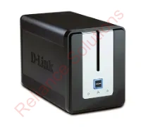 DNS-313